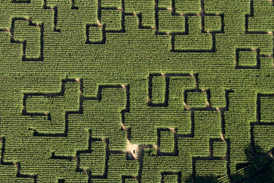labyrinthe dans les mas - Presqu'Ile de Rhuys - Morbihan 8546.jpg