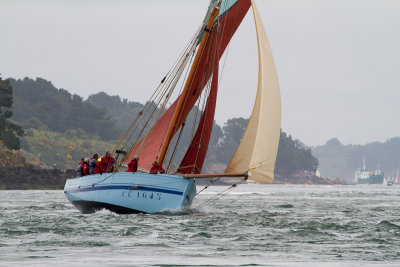 Semaine du Golfe - Marche avec 3369.jpg