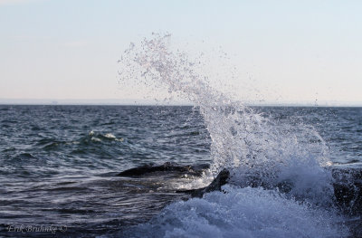 Splash at Brighton Beach (Duluth)