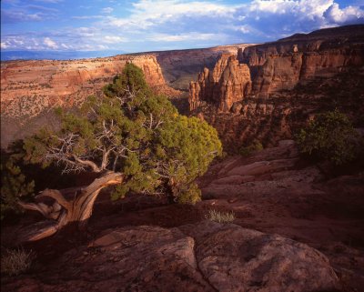 Colorado National Monument