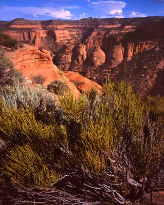 Colorado National Monument