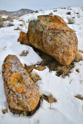 282