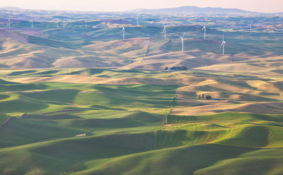 The Palouse