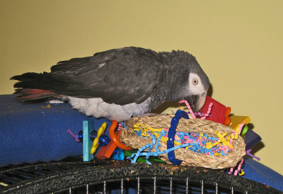 IMG_3764.JPG