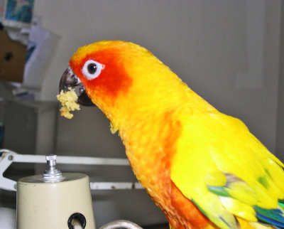 venezuela 2005 041.JPG