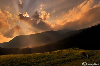 Dolomiti