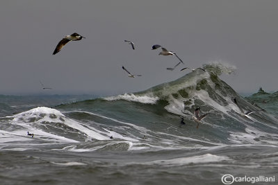 Storm on the Black Sea