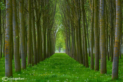 Pianura padana