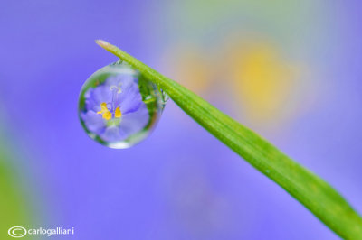 Refraction