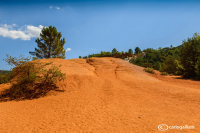 Colorado provenal