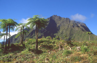 Réunion 033 