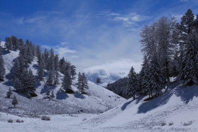 sun after snowfall in the valley