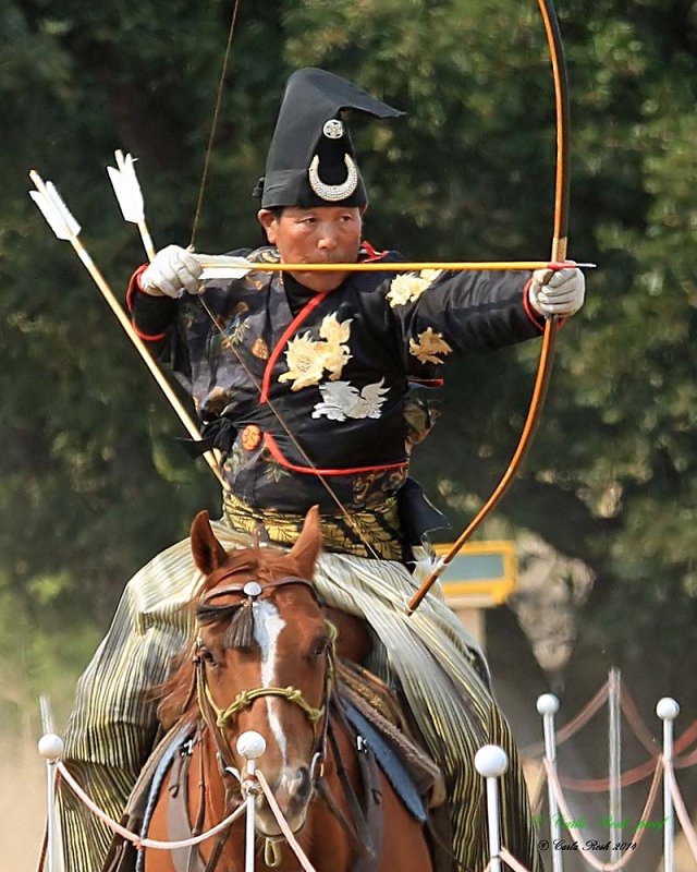 20140913_1894_rma8x10a.jpg