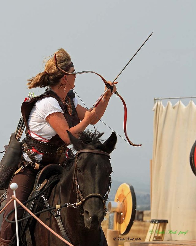 20140913_1947_rma8x10.jpg