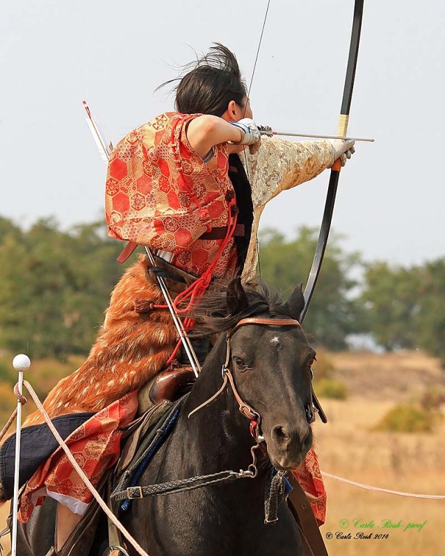 20140913_1963_rma8x10.jpg