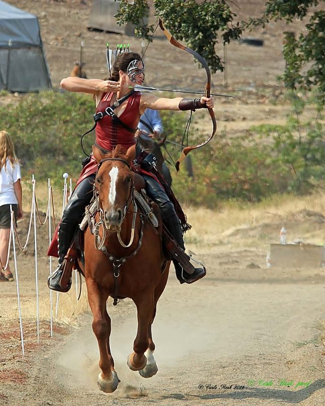 20140913_2164_rma8x10.jpg