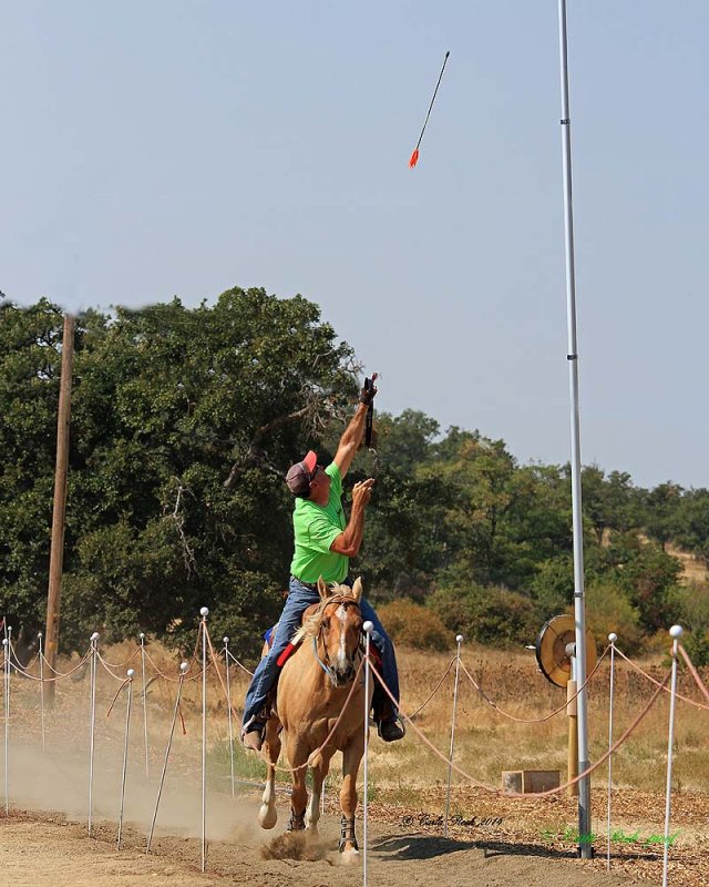 20140914_2892_rma8x10.jpg