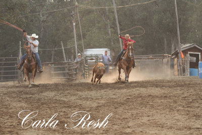 2013_08_07_0056.JPG