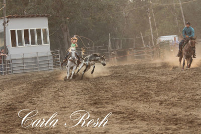 2013_08_07_0062.JPG
