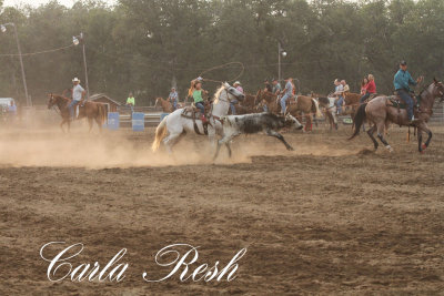 2013_08_07_0067.JPG