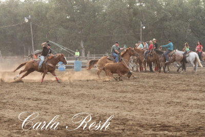 2013_08_07_0085.JPG