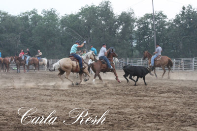 2013_08_07_0162.JPG