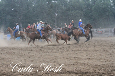 2013_08_07_0515.JPG