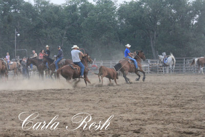 2013_08_07_0517.JPG