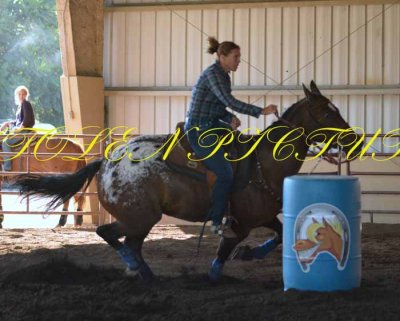 Trail Dust 09-08-13 041.JPG
