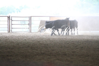 20130920_0506.JPG