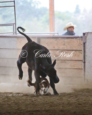 20130920_0682_8x10.jpg