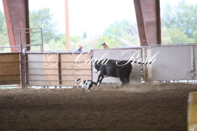 20130920_0770.JPG