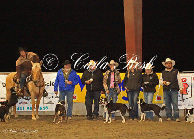 Stock Dog Trials 9.20.13