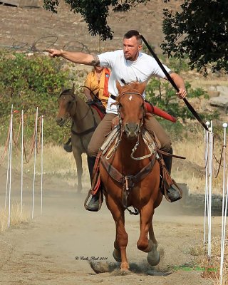 20140913_0431_rma8x10.jpg
