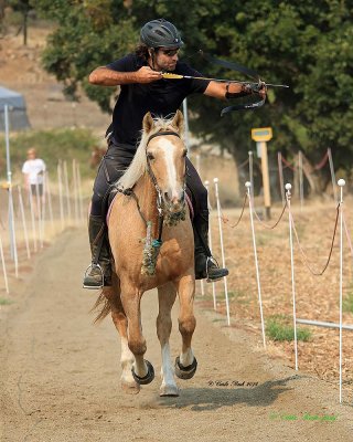20140913_1000_rma8x10.jpg
