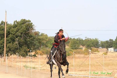20140913_1182.JPG