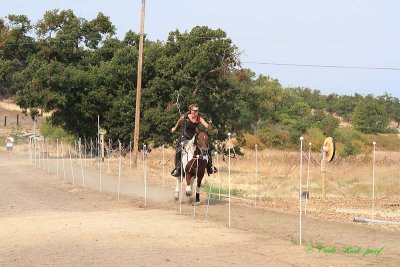 20140913_1207.JPG