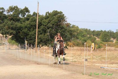 20140913_1209.JPG