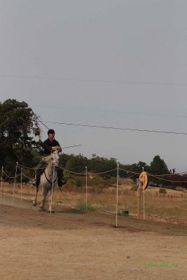 20140913_1406.JPG