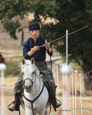 20140913_1658_rma8x10.jpg