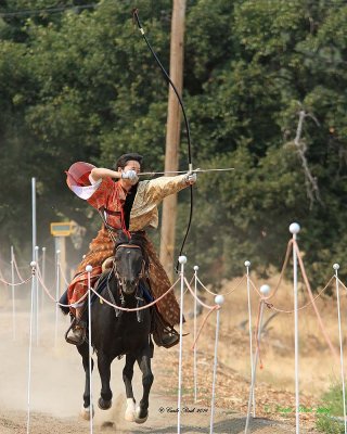 20140913_1883_rma8x10.jpg