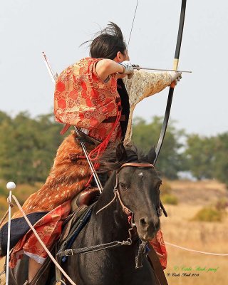 20140913_1963_rma8x10.jpg