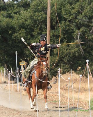 20140913_1972_rma8x10.jpg