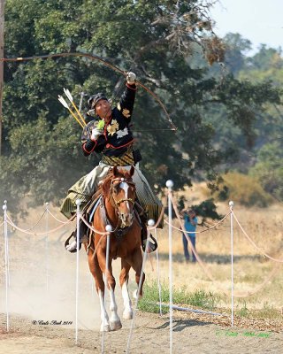 20140914_3593_rma8x10.jpg