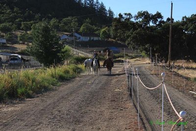 20140910_1539.JPG
