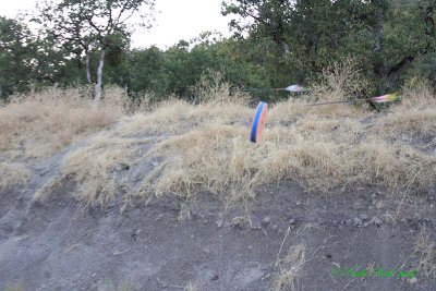 20140910_1634.JPG