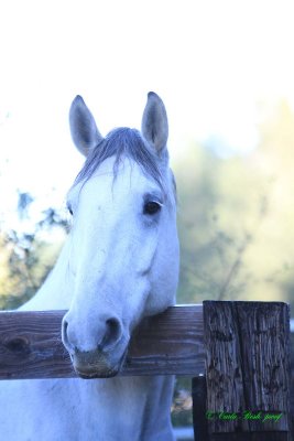 20141004_0039.JPG