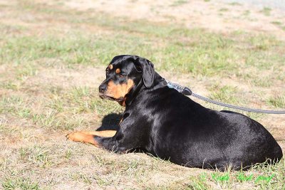 20141004_0090.JPG