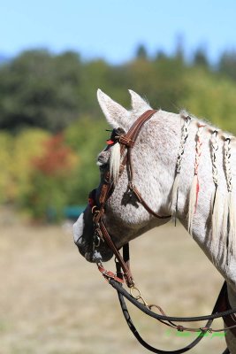 20141004_0234.JPG