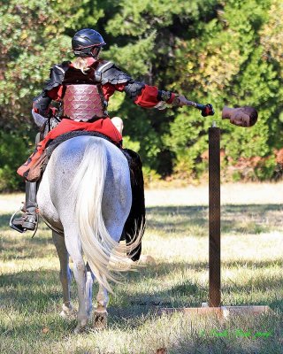 20141004_0349_ba8x10.jpg